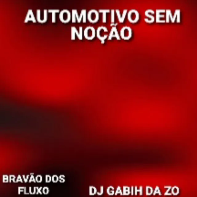 AUTOMOTIVO SEM NOÇÃO