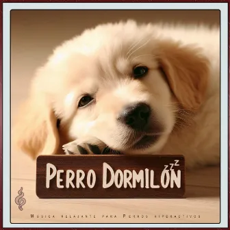 Perro Dormilón: Música Relajante para Perros Hiperactivos by Colectivo De Música Para Perros