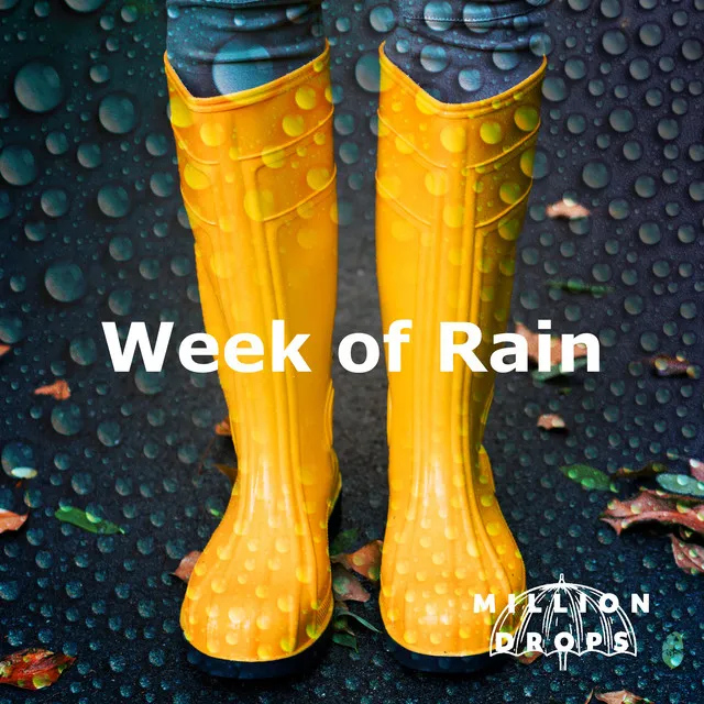 Week of Rain