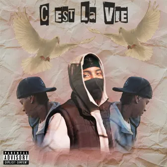 C'est la vie by ARE