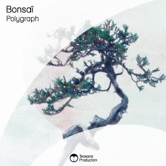 Bonsaï by Polygraph