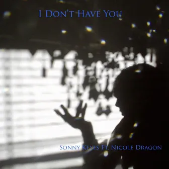 I Don't Have You (feat. Nicole Dragon) by Sonny Keyes