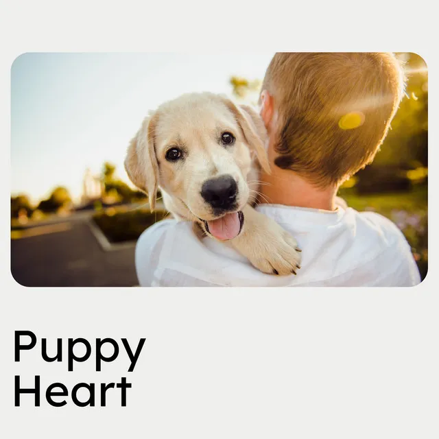 Puppy Heart