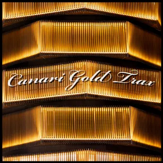 Canari Gold Trax by Cato Canari