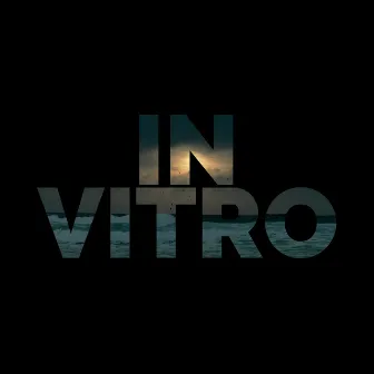 In Vitro (Theme) by Unknown Artist