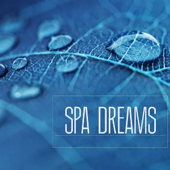 Spa Dreams - Music for Spa Breaks, Wellness Centers and Massage Background Songs by Unknown Artist