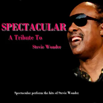 A Tribute To Stevie Wonder by Spectacular