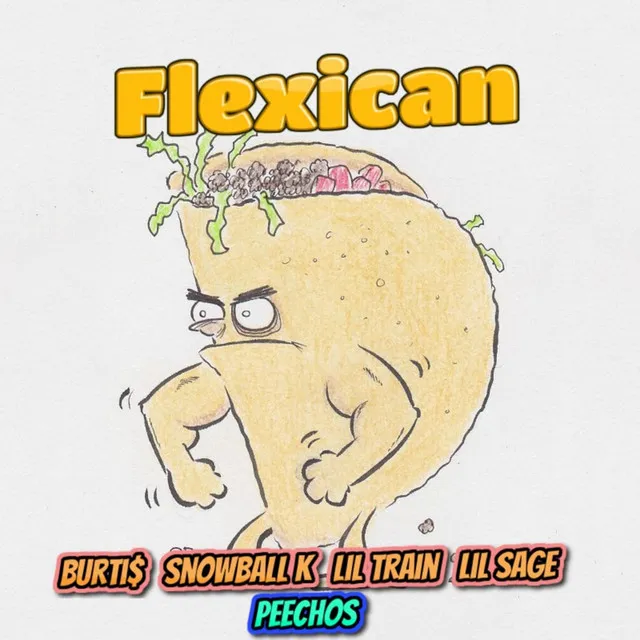 Flexican