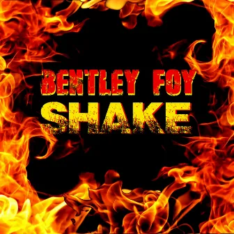 Shake by Bentley Foy