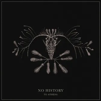 No History by To Athena