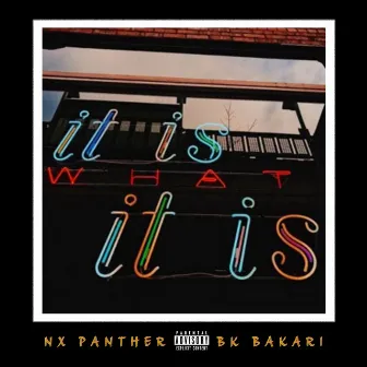 It Is What It Is by NX Panther