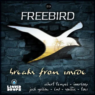 Breaks From Inside LP by Freebird