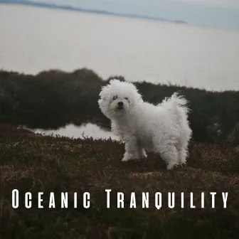 Oceanic Tranquility: Binaural Sounds for Calm Dogs by Peace and Ocean Waves