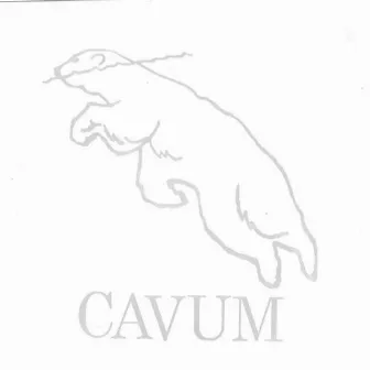 Cavum by Cavum