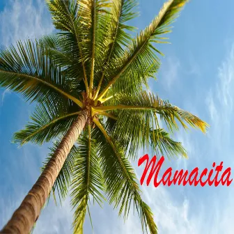 Mamacita by Jvyd.