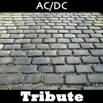 Back in Black: A Tribute to AC/CD by ZONIN