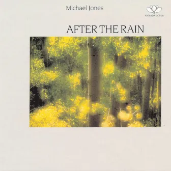 After The Rain by Michael Jones