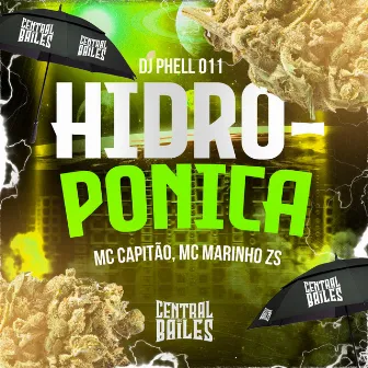 Hidropônica by MC CAPITAO