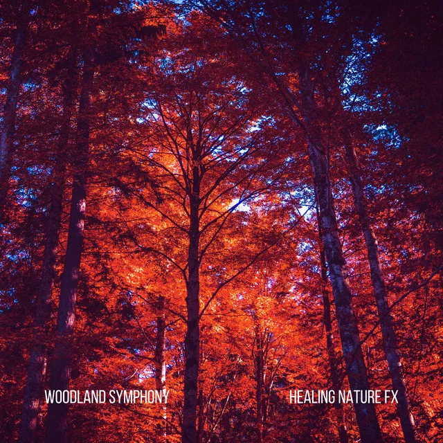 Woodland Symphony