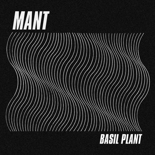 Basil Plant - Transcode Remix