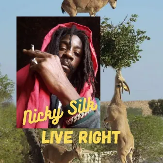 Live Right by Nicky Silk