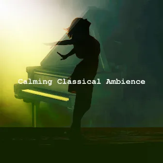 Calming Classical Ambience by Mozart