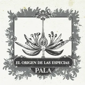 El origen de las especias, Vol. 1 by Pala