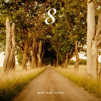 ８ by ROTH BART BARON