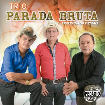 Apaixonado Demais by Trio Parada Bruta