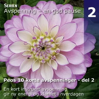 Peos 10 Korte Avspenninger, Del 2 by Peo