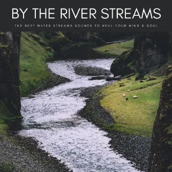 By The River Streams: The Best Water Streams Sounds To Heal Your Mind & Soul by Aquaplasm