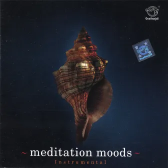 Meditation Moods by Vamanan