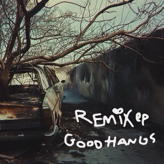 Remix EP by Good Hangs