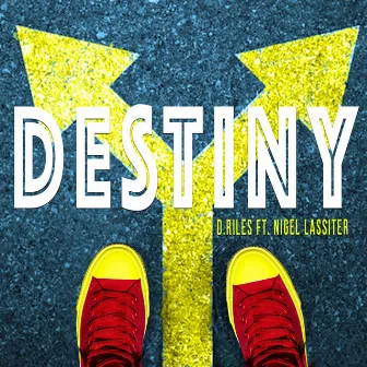 Destiny by D. Riles