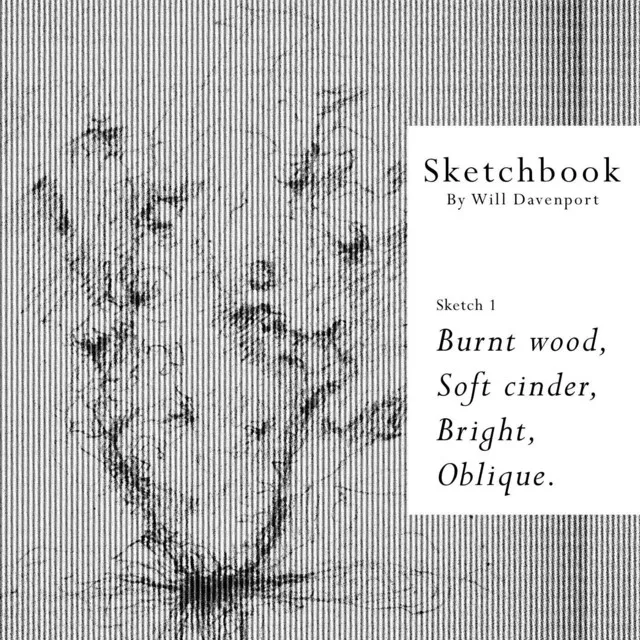 Sketch 1: Burnt Wood, Soft Cinder, Bright, Oblique.