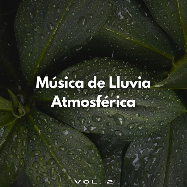 Sonido De Relajación De Lluvia Suave