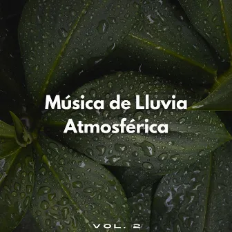 Música De Lluvia Atmosférica Vol. 2 by Colección de música para un sueño reparador