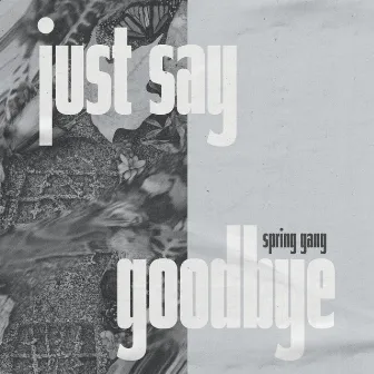 Just Say Goodbye by spring gang