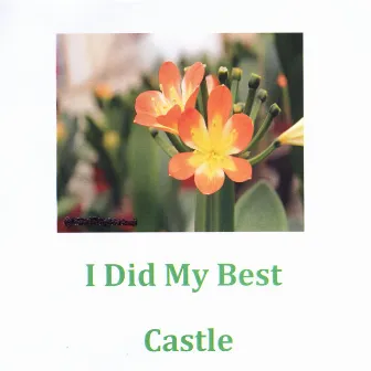 I Did My Best by Castle