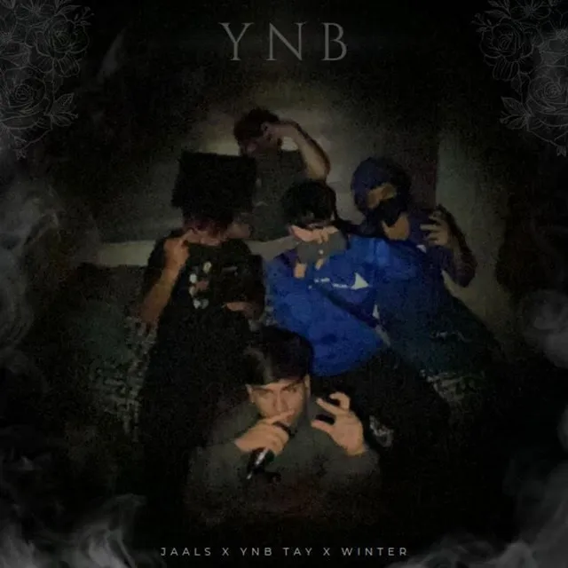 Ynb