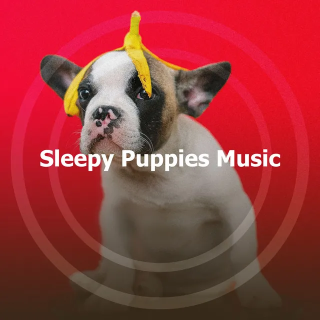 Sleepy Puppies Music