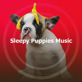 Sleepy Puppies Music by Puppy Music Dreams