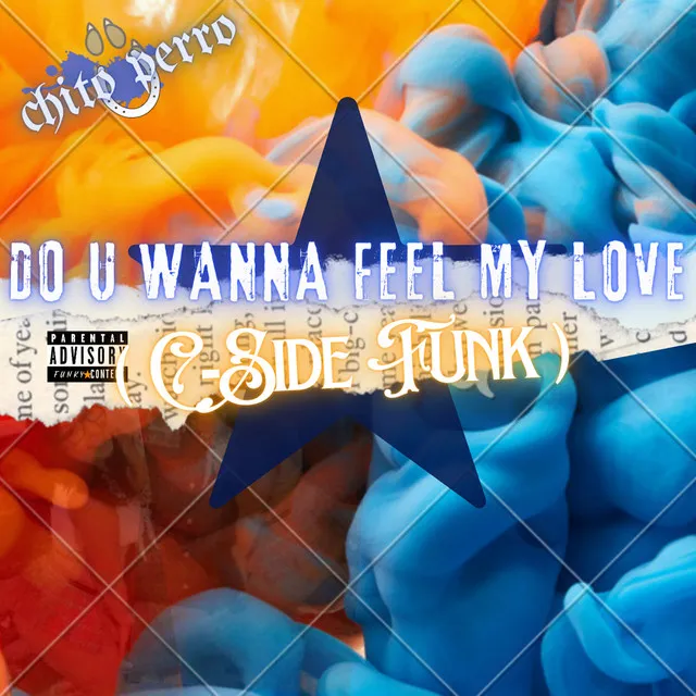 Do U Wanna Feel My Love (C Side Funk)