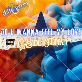 Do U Wanna Feel My Love (C Side Funk) by Chito Perro