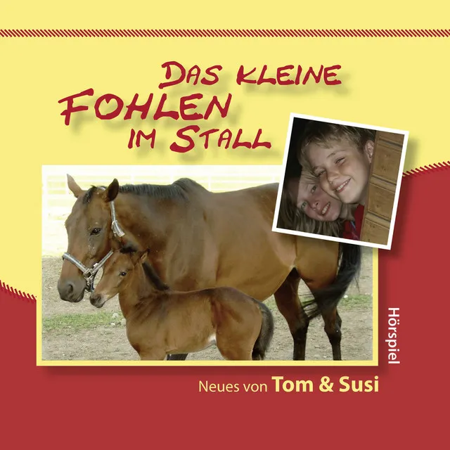 Das kleine Fohlen im Stall