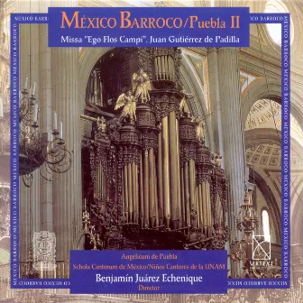 Baroque Music - Cabezon, A. / Padilla, J.G. De / Clemens Non Papa, J. / Laba, A. (Baroque Mexico, Vol. 2) by Schola Cantorum de Mexico