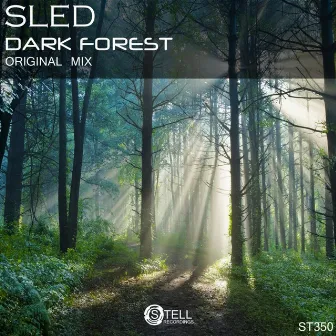 Dark Forest by Sled