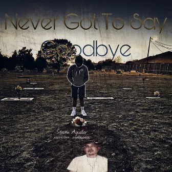 Never Got To Say Goodbye by Prxdigy