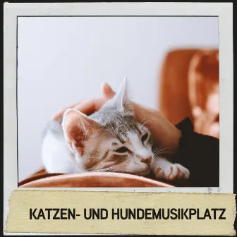 Katzen- und Hundemusikplatz: Beruhigende Klänge für pelzige Freunde by Relajacion