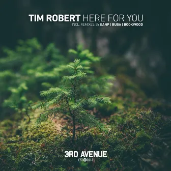 Here for You by Tim Robert